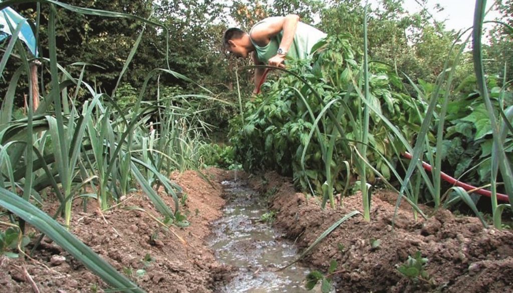 New-era-farmers_784x0