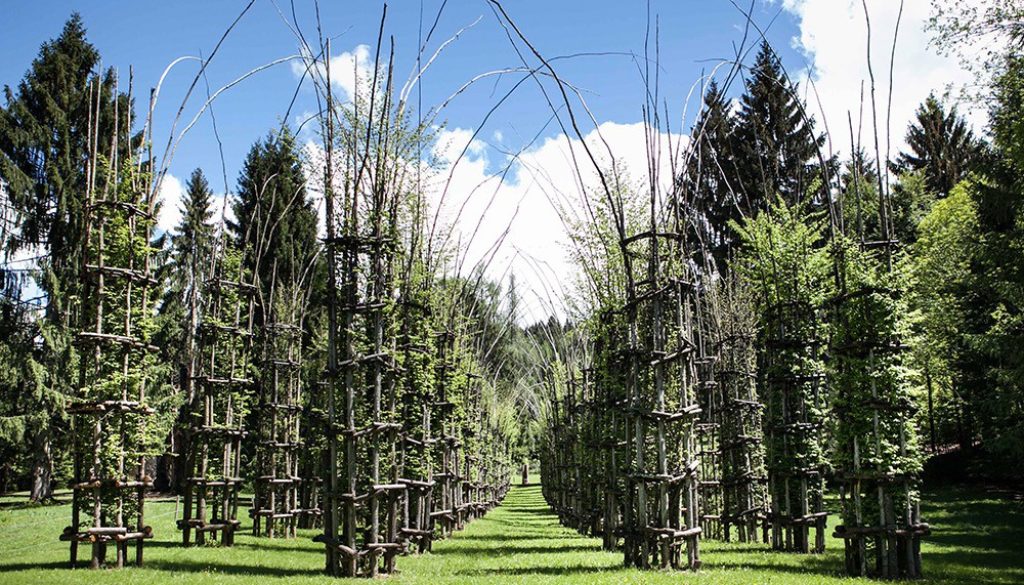 i1521025470_cattedralevegetae